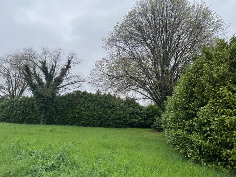 vente Terrain - 555 m² Loriol-sur-Drôme (26270)