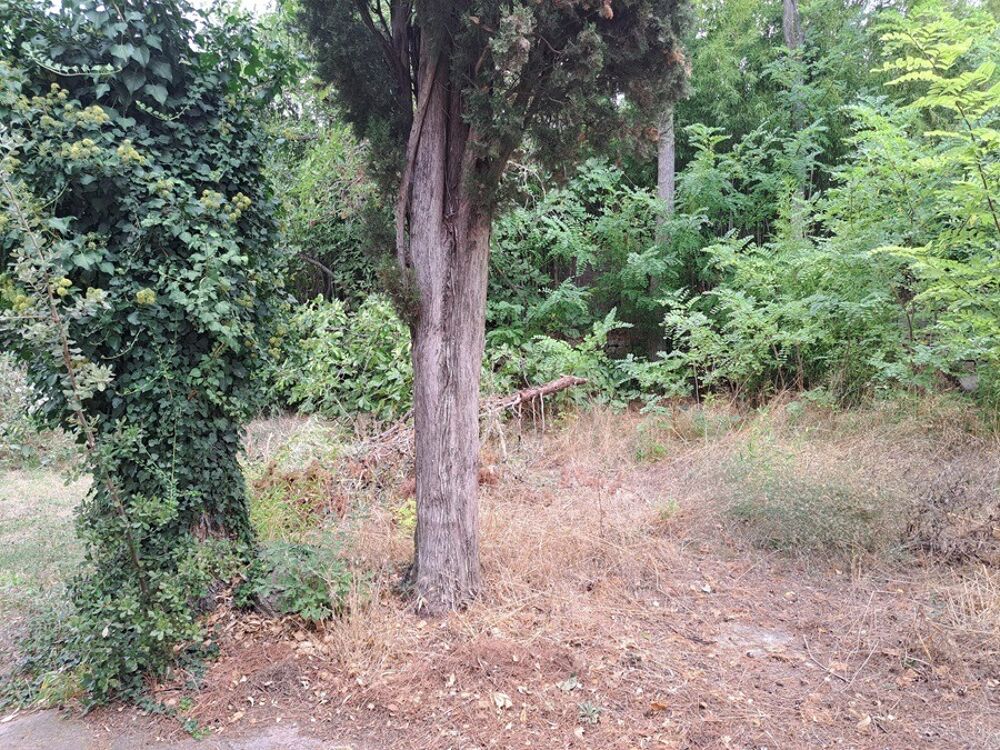 vente Terrain - 475 m² Saint-Cannat (13760)