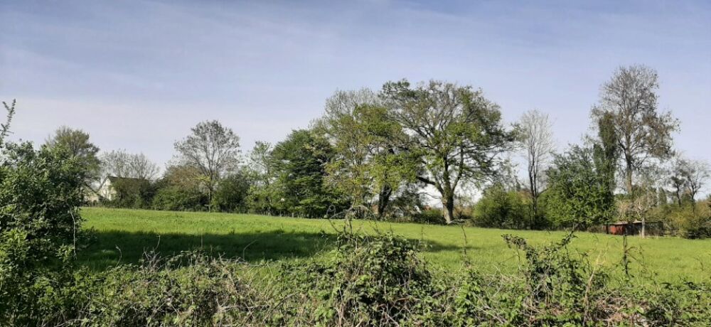 vente Terrain - 334 m² Savigné-l'Évêque (72460)