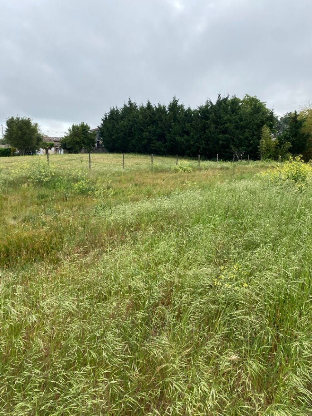 vente Terrain - 586 m² Ambarès-et-Lagrave (33440)