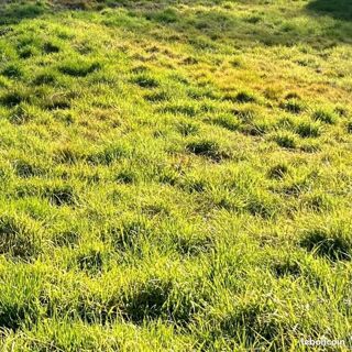  Terrain � vendre 828 m�