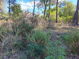  Terrain � vendre 980 m�