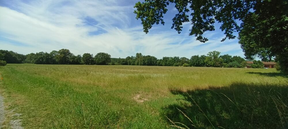 vente Maison - 4 pi�ce(s) - 100 m� Plaisance-du-Touch (31830)