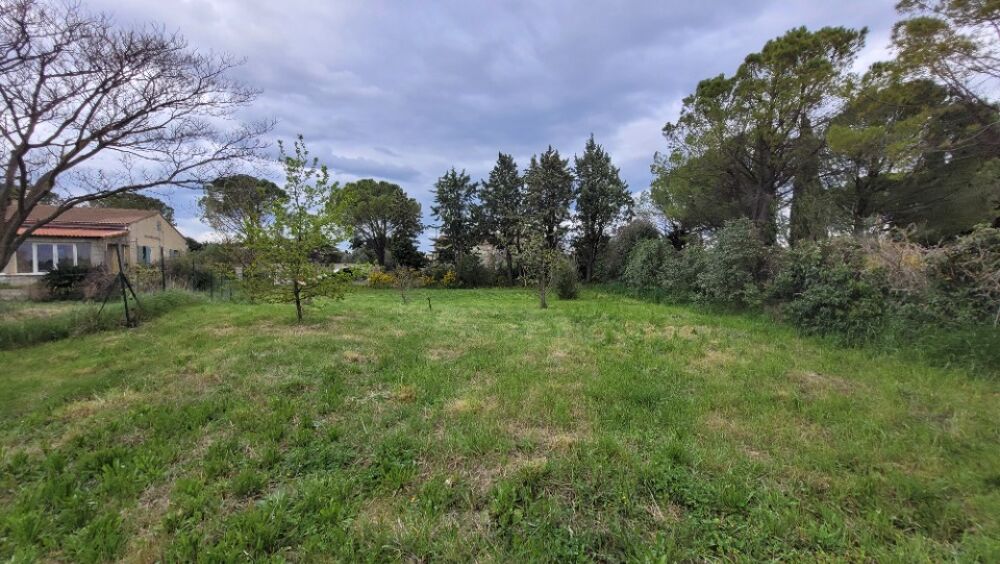 vente Terrain - 856 m² Sainte-Cécile-les-Vignes (84290)