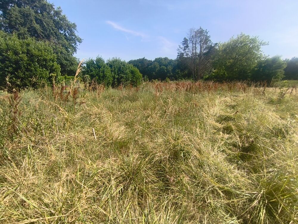vente Terrain - 482 m² Médis (17600)