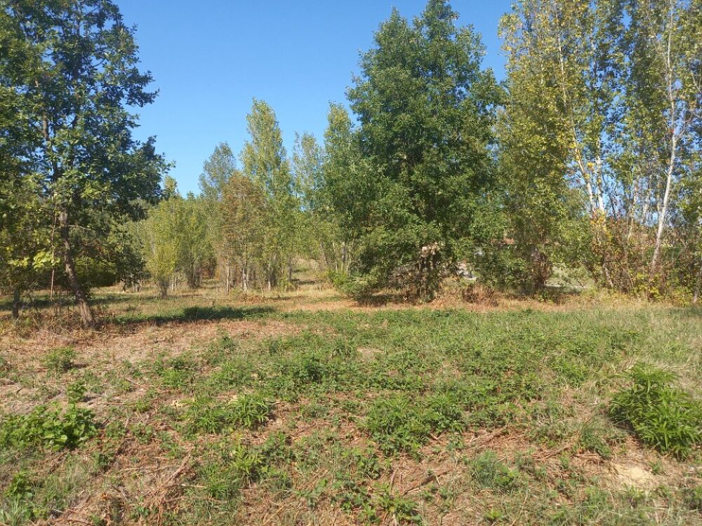 vente Maison - 5 pièce(s) - 88 m² Mézens (81800)