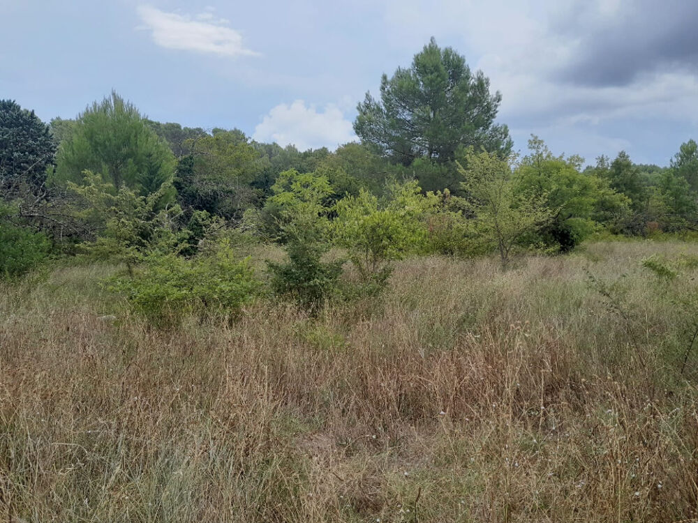 vente Maison - 6 pièce(s) - 112 m² Montfrin (30490)