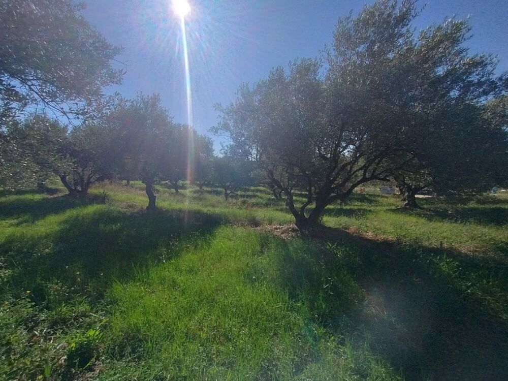 vente Terrain - 2504 m² Barjac (30430)