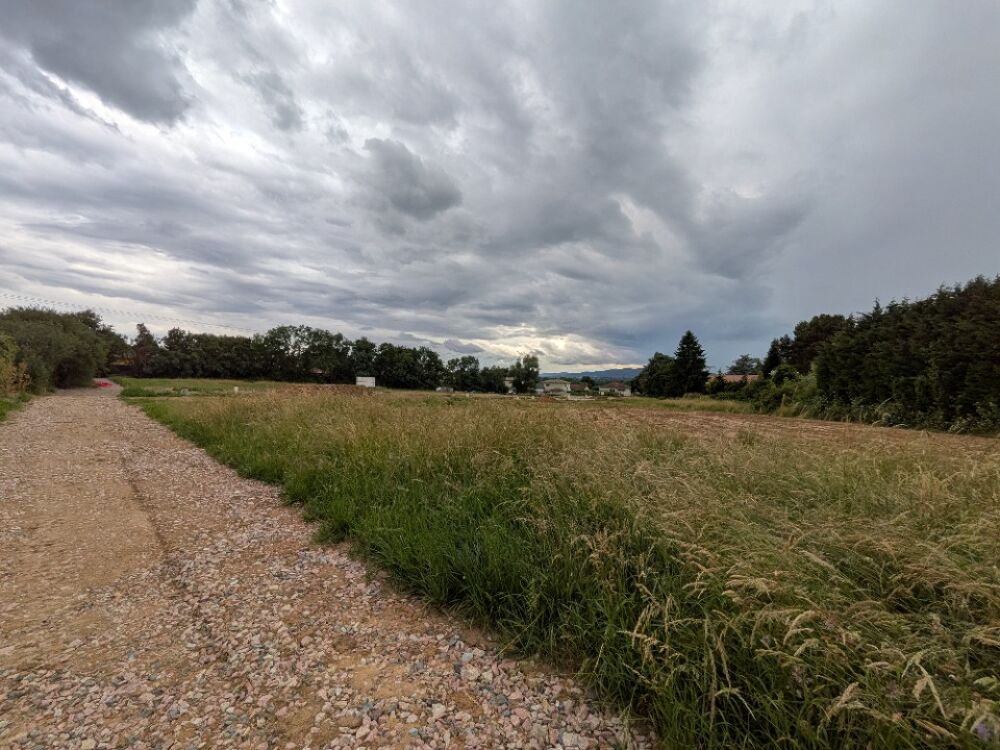 vente Terrain - 556 m² Lissieu (69380)