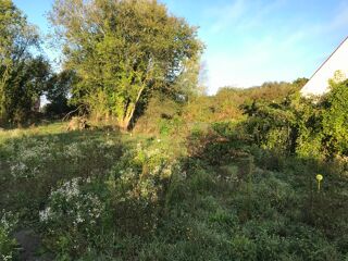  Terrain  vendre 220 m