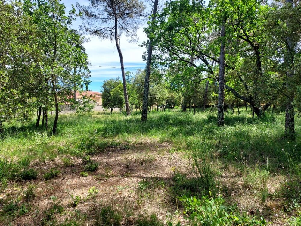 vente Terrain - 847 m² Garéoult (83136)