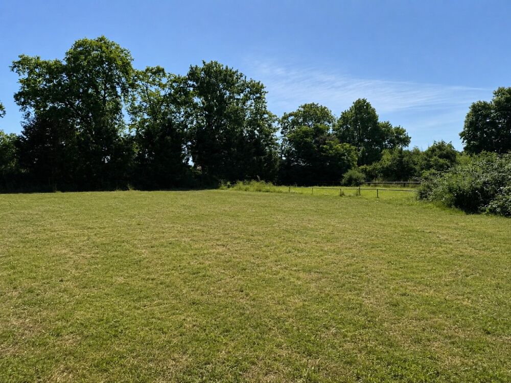 vente Terrain - 1005 m² Saint-Jory (31790)
