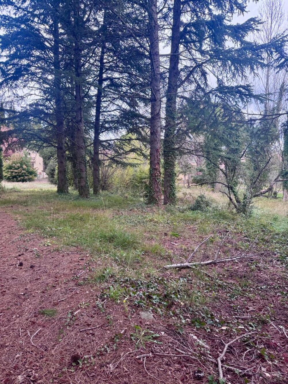 vente Terrain - 746 m² Pélissanne (13330)