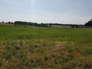  Terrain � vendre 2000 m�