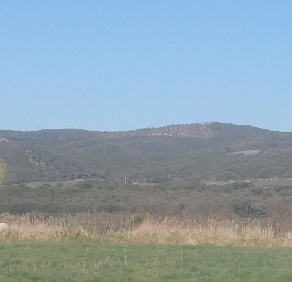 vente Terrain - 510 m² Oraison (04700)