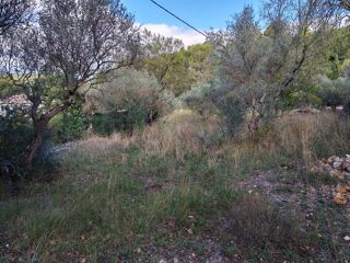  Terrain à vendre 1005 m²