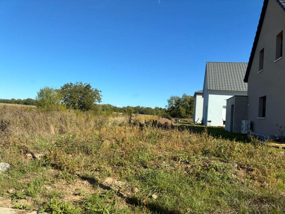 vente Terrain - 303 m² Niederhergheim (68127)