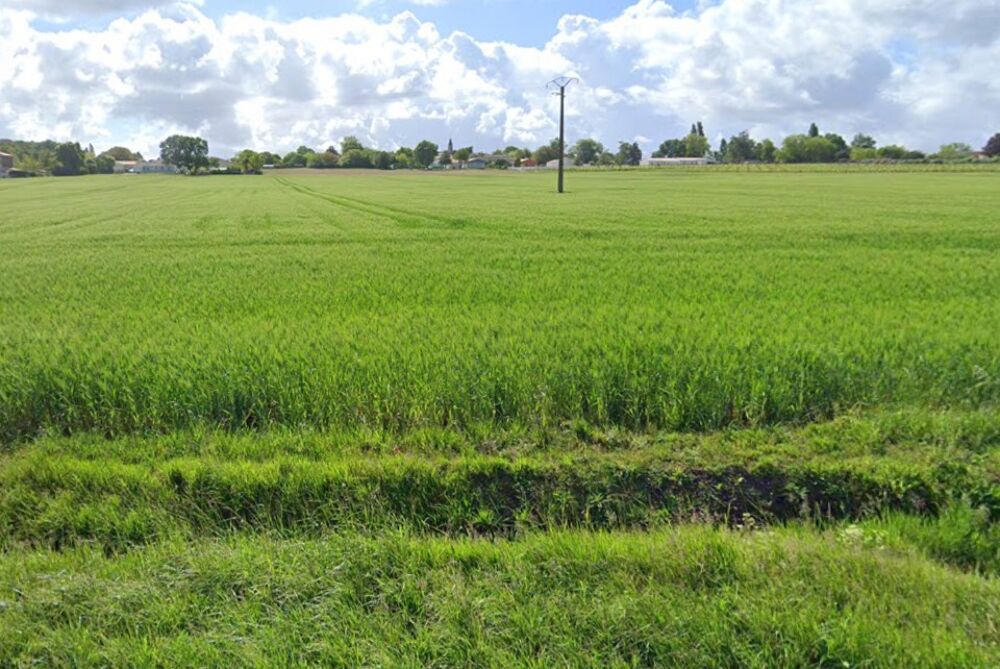 vente Terrain - 396 m² Grézac (17120)