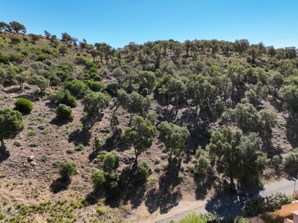 vente Terrain - 1434 m² Sainte-Maxime (83120)