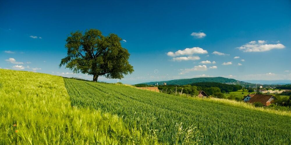 vente Terrain - 641 m² Beaumont-la-Ronce (37360)