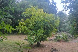  Terrain � vendre 515 m�