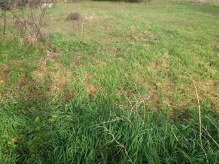  Terrain � vendre 420 m�