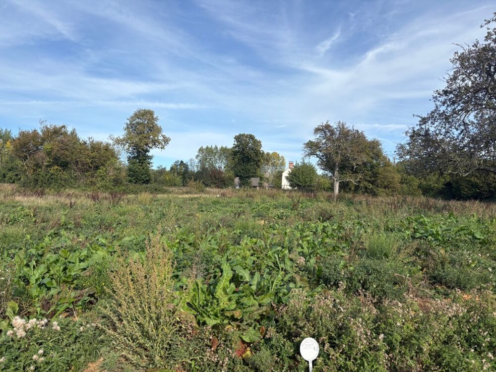 vente Terrain - 885 m² Bonneville-sur-Touques (14800)