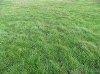  Terrain � vendre 1328 m�