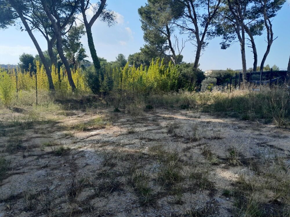 vente Maison - 4 pièce(s) - 77 m² Septèmes-les-Vallons (13240)