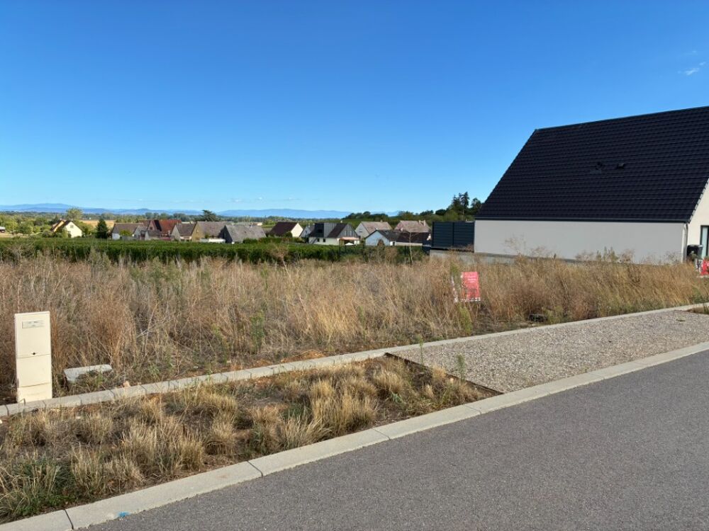 vente Terrain - 458 m² Beblenheim (68980)