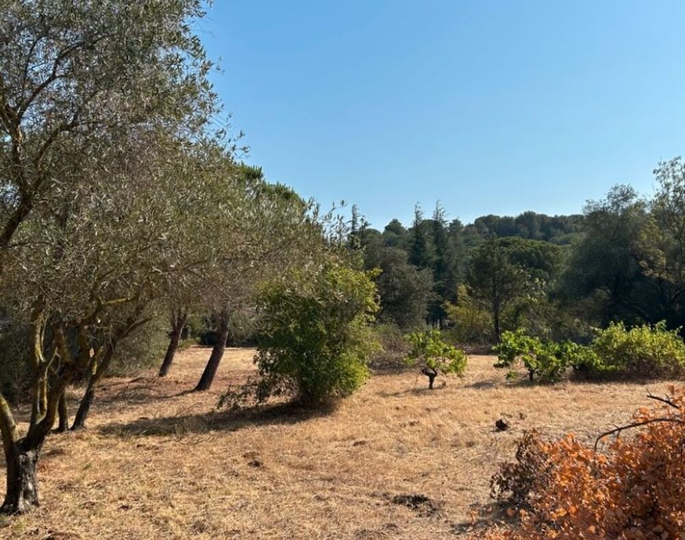 vente Maison - 4 pièce(s) - 130 m² Bizanet (11200)