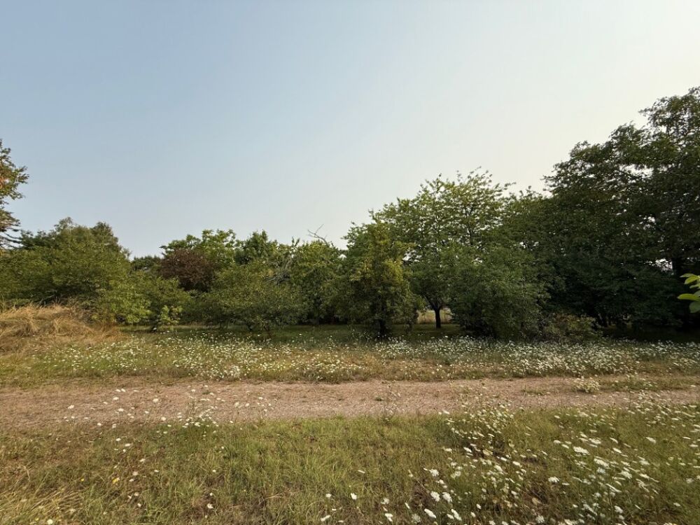 vente Maison - 5 pièce(s) - 130 m² Sorigny (37250)