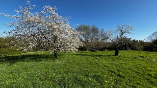  Maison � vendre 5 pi�ces 232 m�