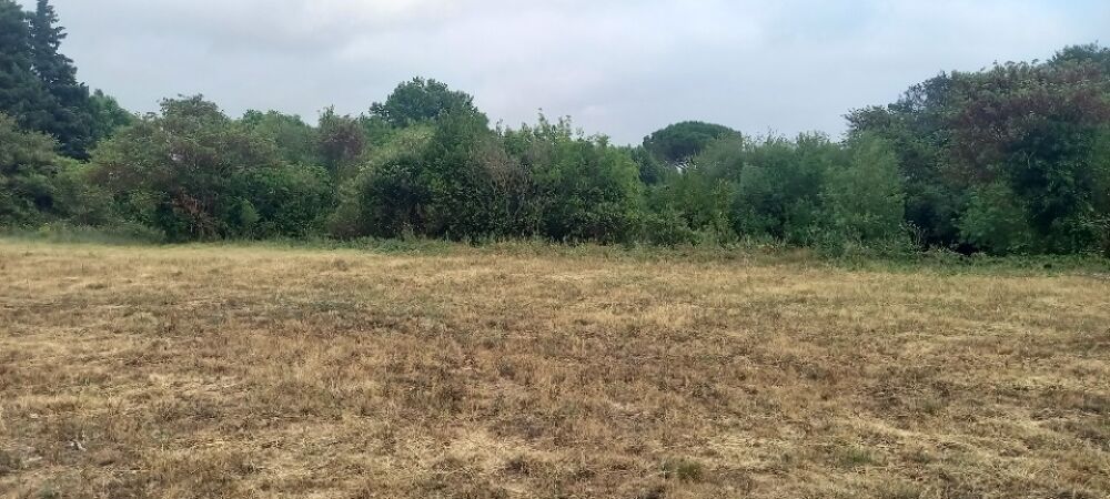 vente Terrain - 2499 m² Embres-et-Castelmaure (11360)