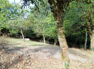  Terrain à vendre 2050 m²