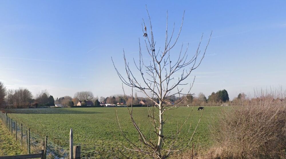 vente Maison - 6 pièce(s) - 125 m² Potelle (59530)