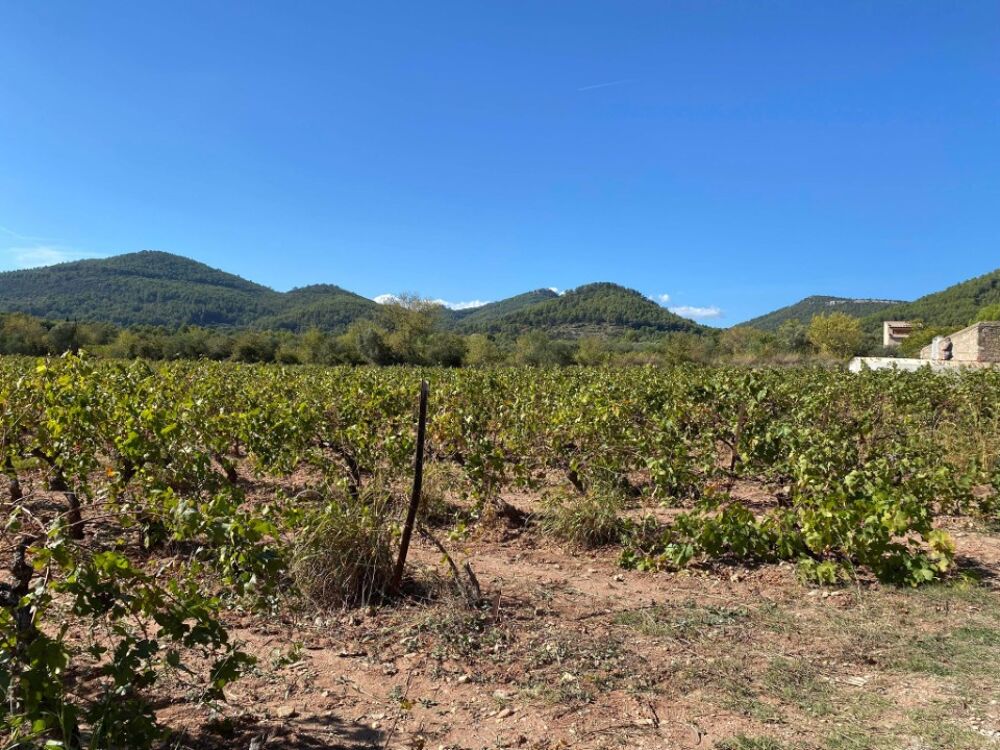 Terrain plat 700 m² - Belle opportunité au Castellet<BR/....