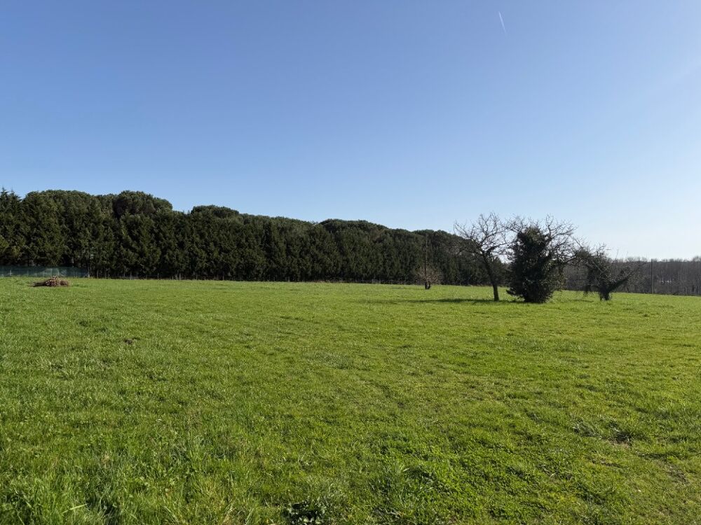 vente Maison - 4 pièce(s) - 84 m² Salles (33770)