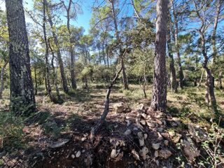  Terrain  vendre 769 m