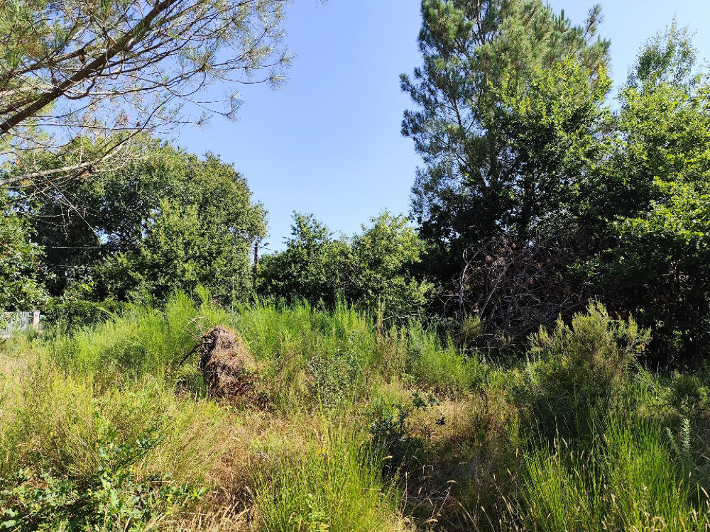 vente Terrain - 750 m² Vendays-Montalivet (33930)