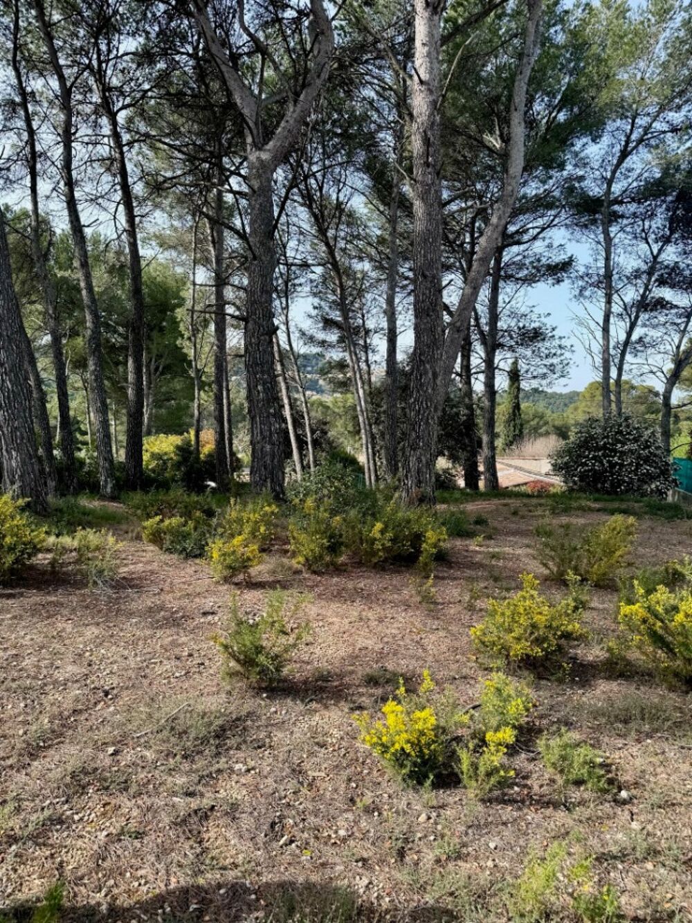 MAISON À CONSTRUIRE DE 130 M² À VENTABREN, PROCHE DE MAR....