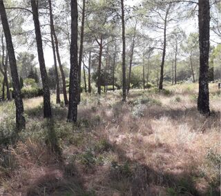  Terrain � vendre 1200 m�