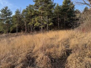  Terrain � vendre 703 m�