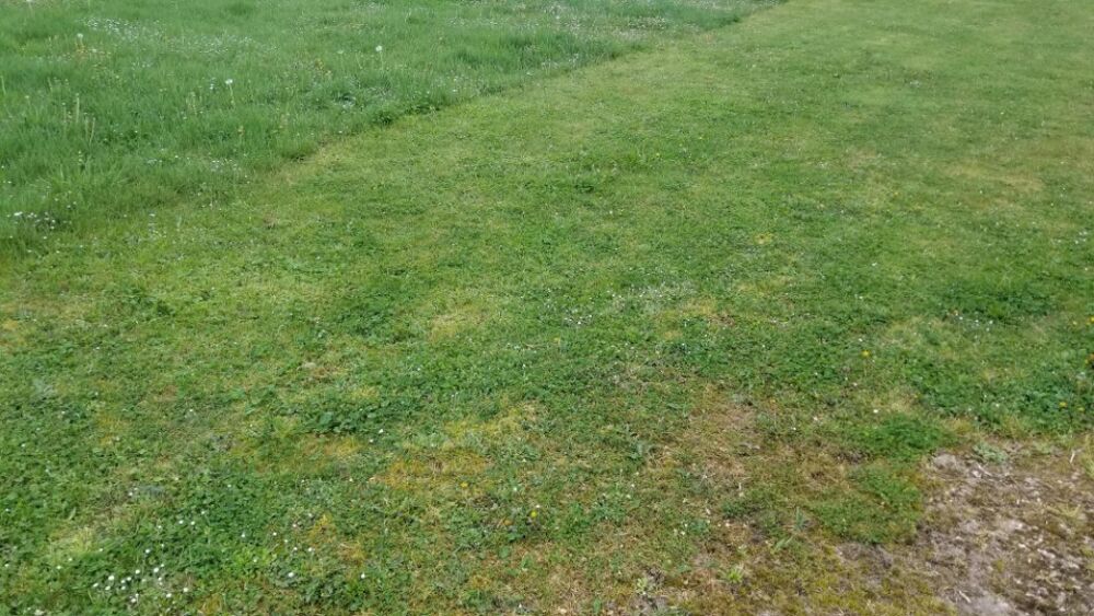 vente Terrain - 695 m² Espiet (33420)