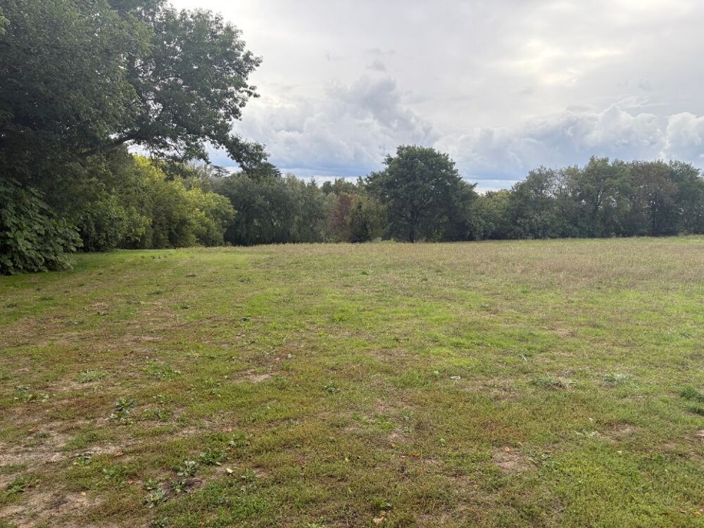 vente Maison - 5 pièce(s) - 110 m² Montastruc-la-Conseillère (31380)
