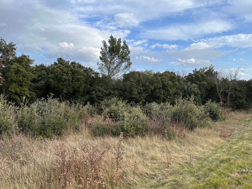 vente Terrain - 875 m² Grignan (26230)
