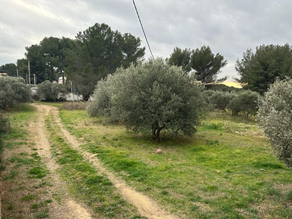 vente Maison - 6 pièce(s) - 130 m² Saint-Chamas (13250)