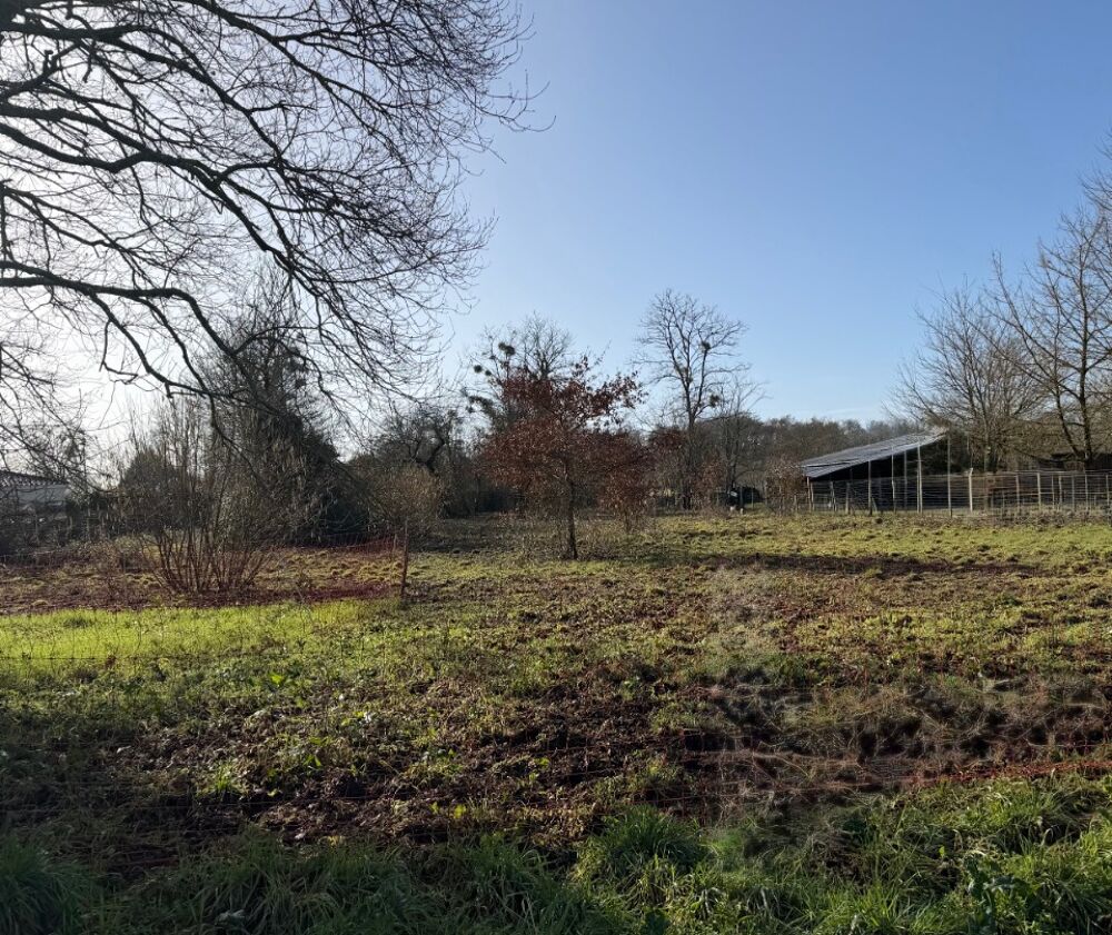 MAISON À CONSTRUIRE DE 85 M² À NOAILLAN, 4 PIÈCES <B....