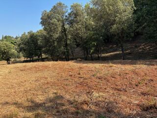  Terrain � vendre 1019 m�