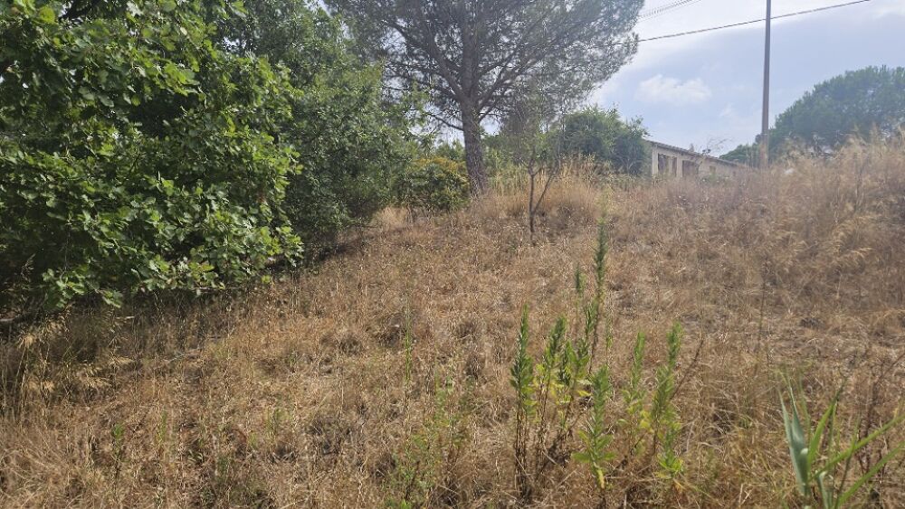 vente Maison - 4 pièce(s) - 74 m² Fréjus (83600)